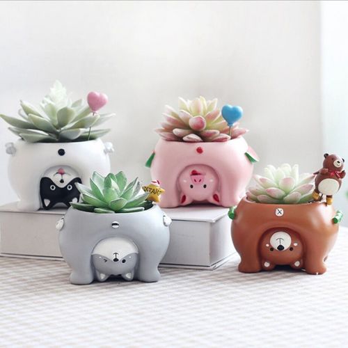 A variety of cute plants in adorable pots on a desk setup