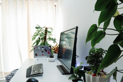 A elean, nature-filled workspace