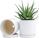 Plant Pots with Saucer White